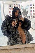 L'aquila Escort Luisa Miele 327 39 79 079 foto selfie 4