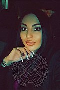 Ravenna Escort Dayana Wild 393 12 89 500 foto selfie 10