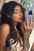 L'aquila Escort Luisa Miele 327 39 79 079 foto selfie 1