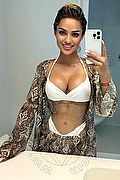 Vicenza Escort Lalla Number One 393 78 93 812 foto selfie 9